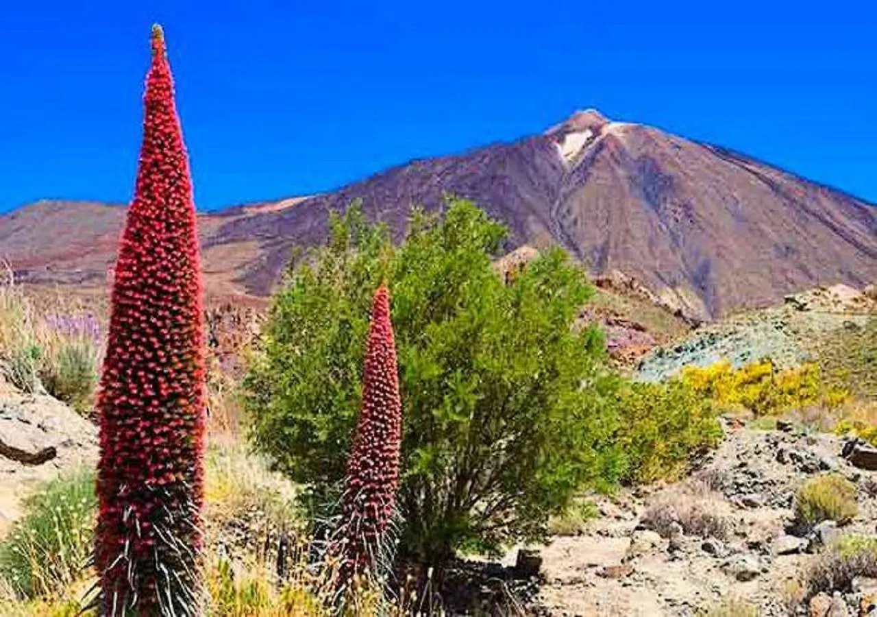 Karma Paraiso Tenerife Sur Costa Adeje  Appartamento